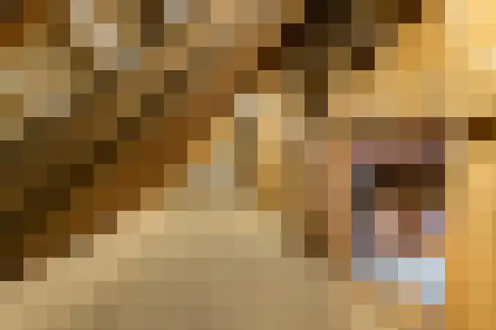 Den Borgweg 10 Rekken thumbnail 26