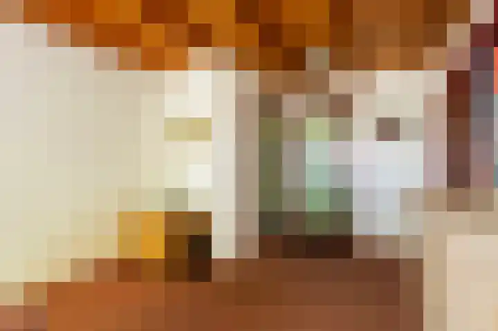Den Borgweg 10 Rekken thumbnail 29