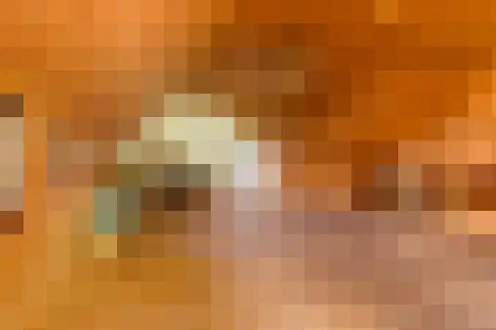 Den Borgweg 10 Rekken thumbnail 40