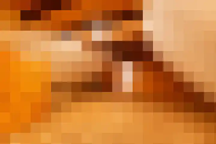 Den Borgweg 10 Rekken thumbnail 43