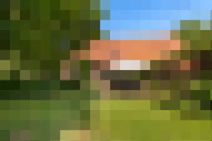 Den Borgweg 10 Rekken thumbnail 44