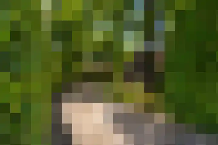 Den Borgweg 10 Rekken thumbnail 46