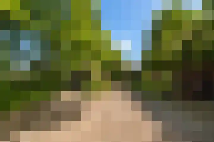 Den Borgweg 10 Rekken thumbnail 47