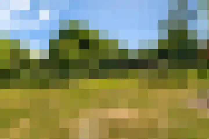 Den Borgweg 10 Rekken thumbnail 50
