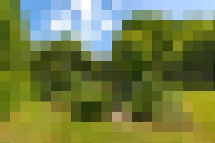 Den Borgweg 10 Rekken thumbnail 53