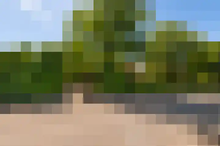 Den Borgweg 10 Rekken thumbnail 56