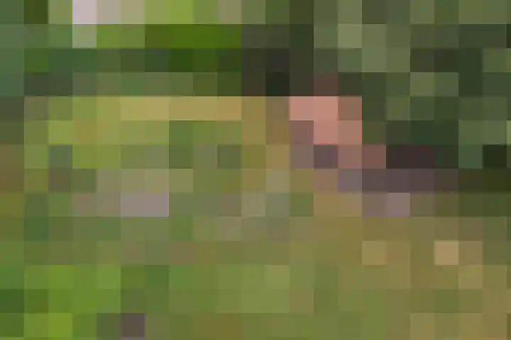 Den Borgweg 10 Rekken thumbnail 59