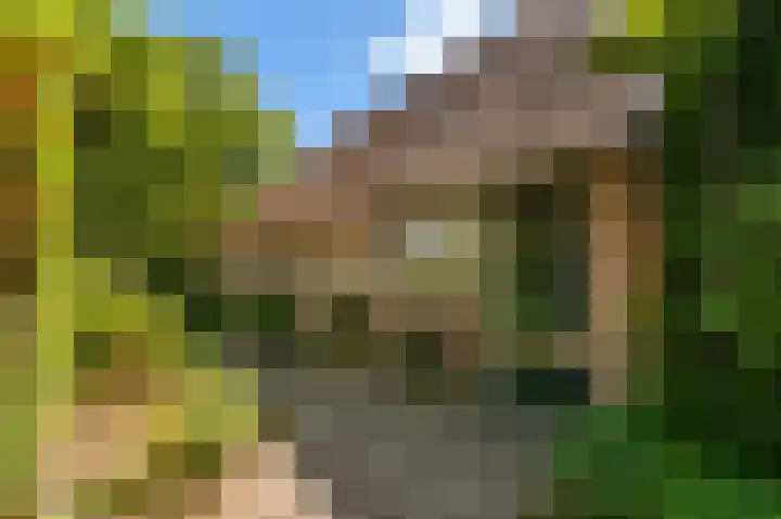 Den Borgweg 10 Rekken thumbnail 6