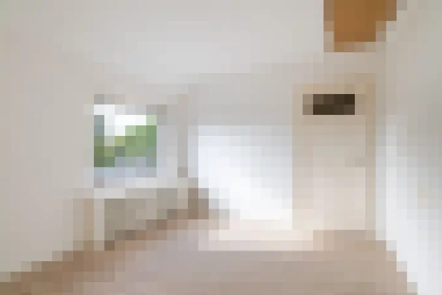Den Boschstraat 13 Heerlen thumbnail 12