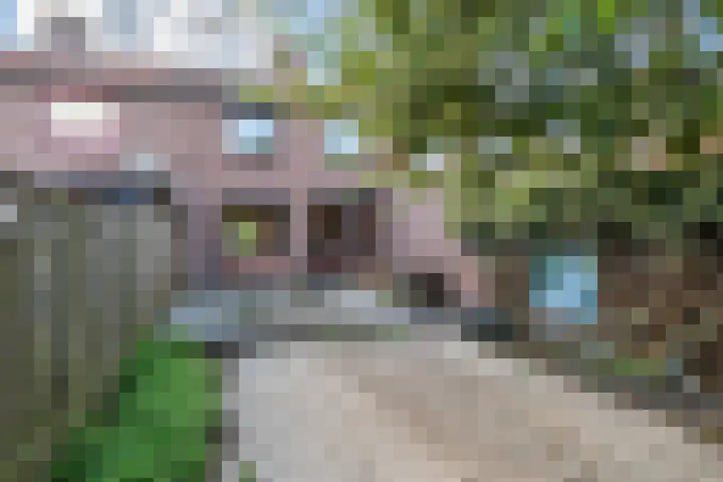 Den Boschstraat 13 Heerlen thumbnail 18