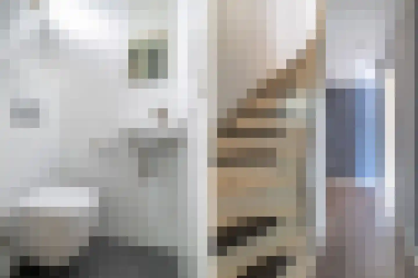 Den Boschstraat 13 Heerlen thumbnail 6