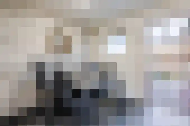 Den Boschstraat 31 Heerlen thumbnail 10