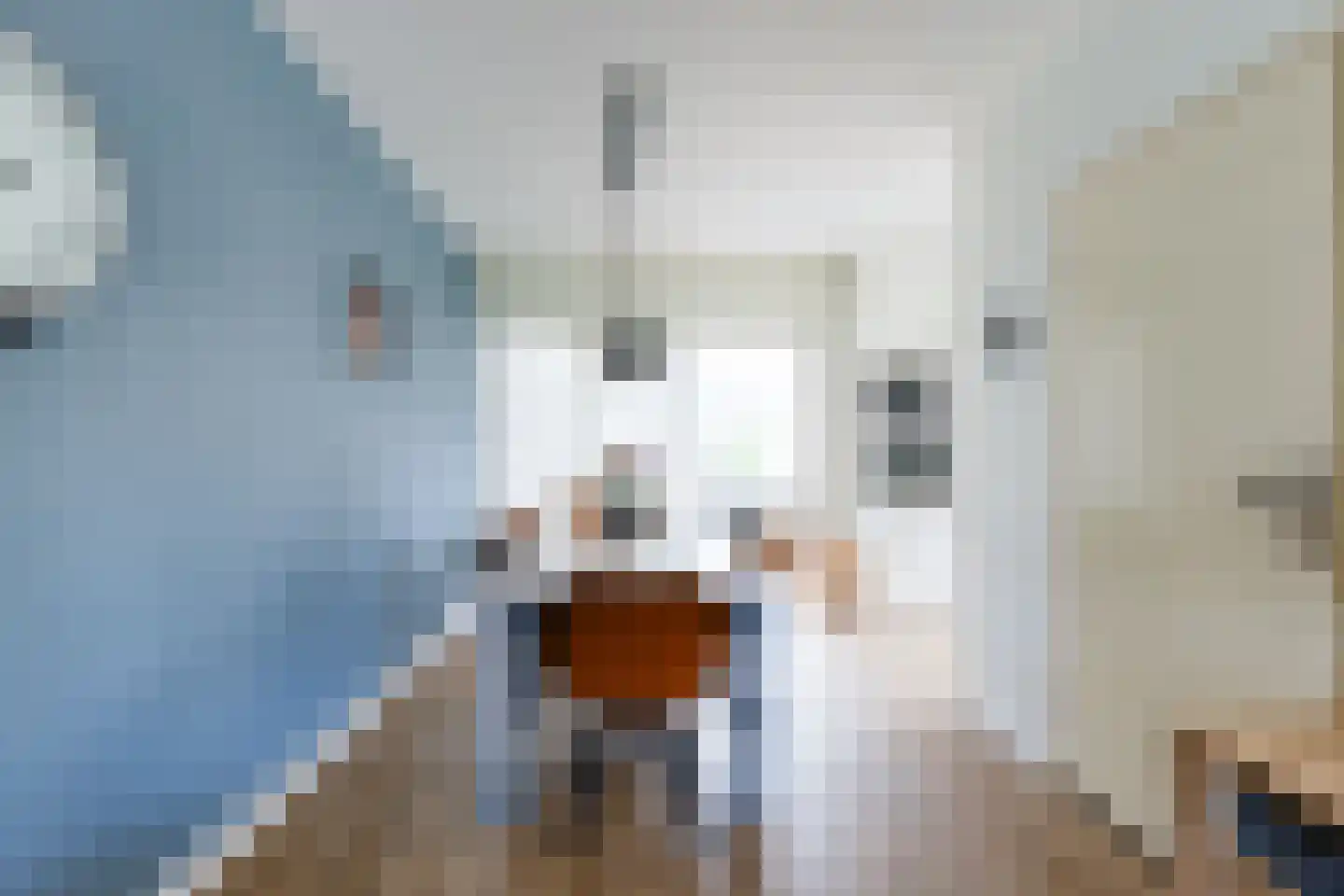 Den Bramel 12 Almelo thumbnail 15