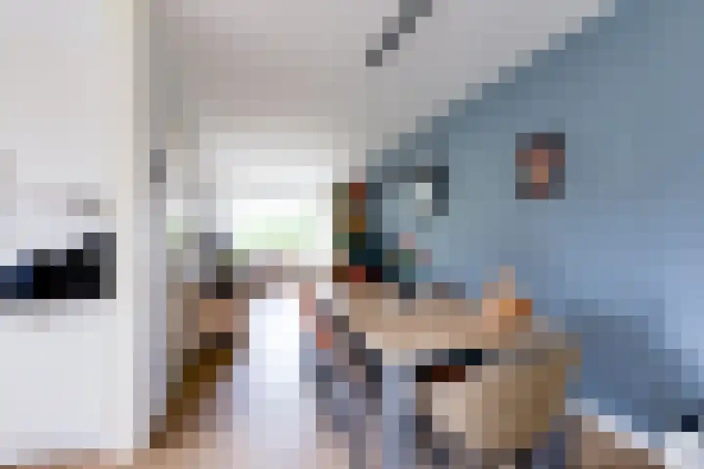 Den Bramel 12 Almelo thumbnail 18