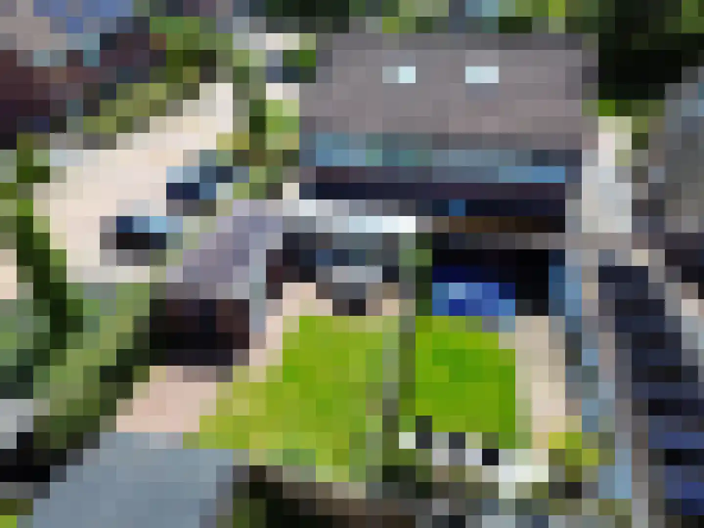 Den Bramel 12 Almelo thumbnail 42