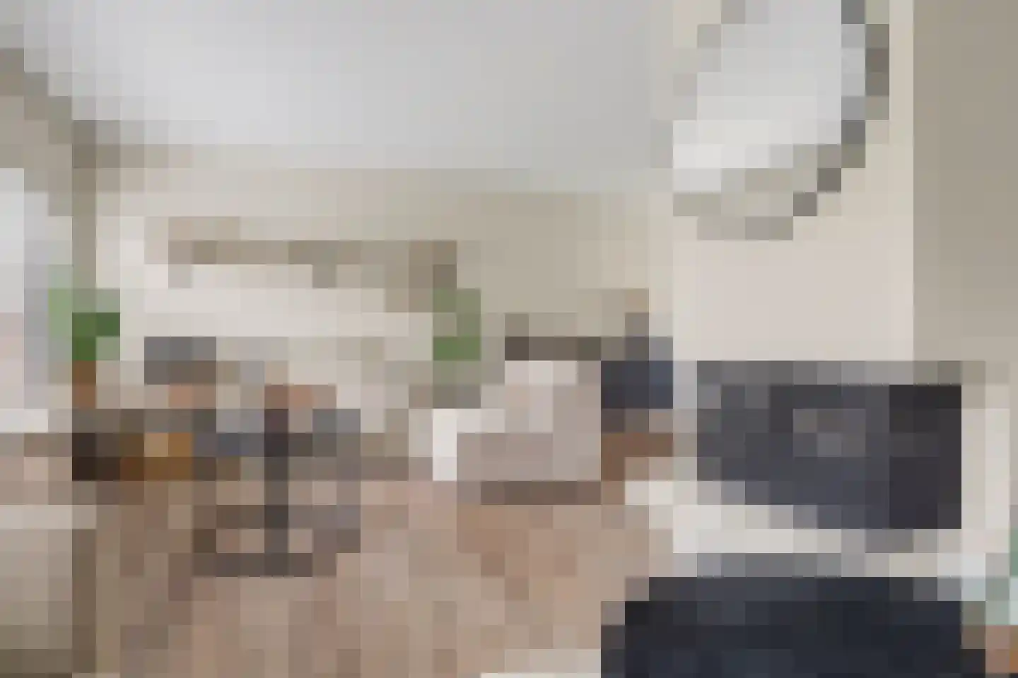 Den Bramel 20 Almelo thumbnail 10