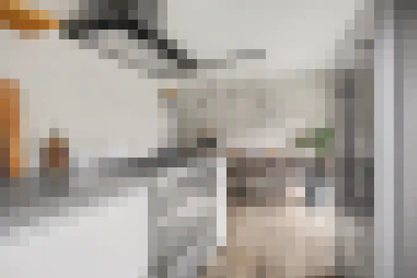 Den Bramel 20 Almelo thumbnail 14
