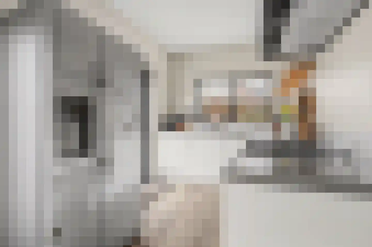 Den Bramel 20 Almelo thumbnail 15