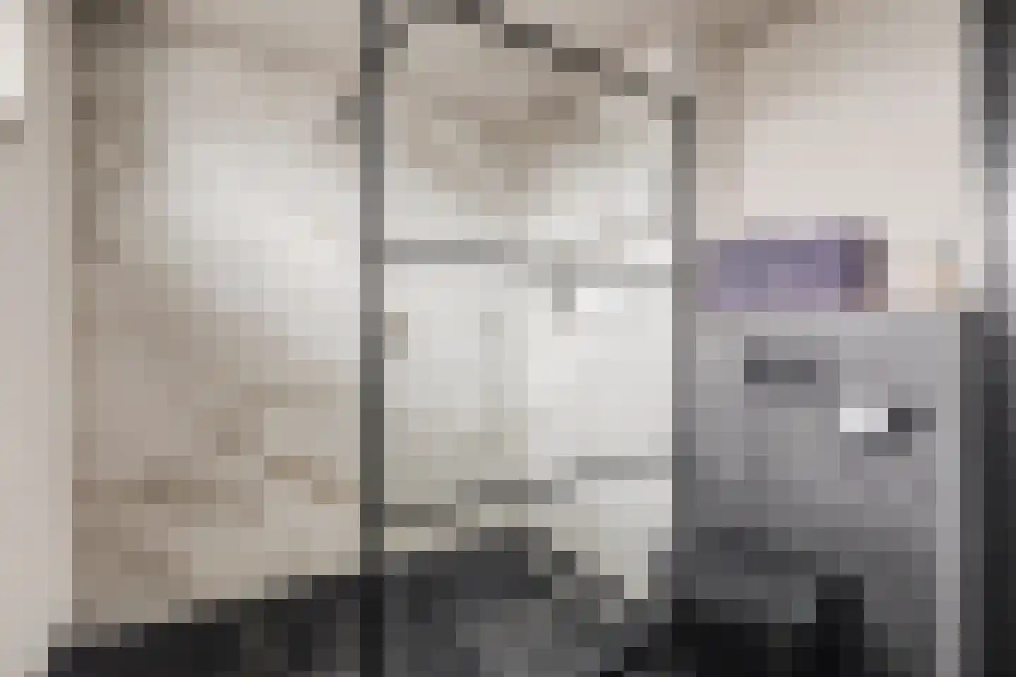 Den Bramel 20 Almelo thumbnail 26