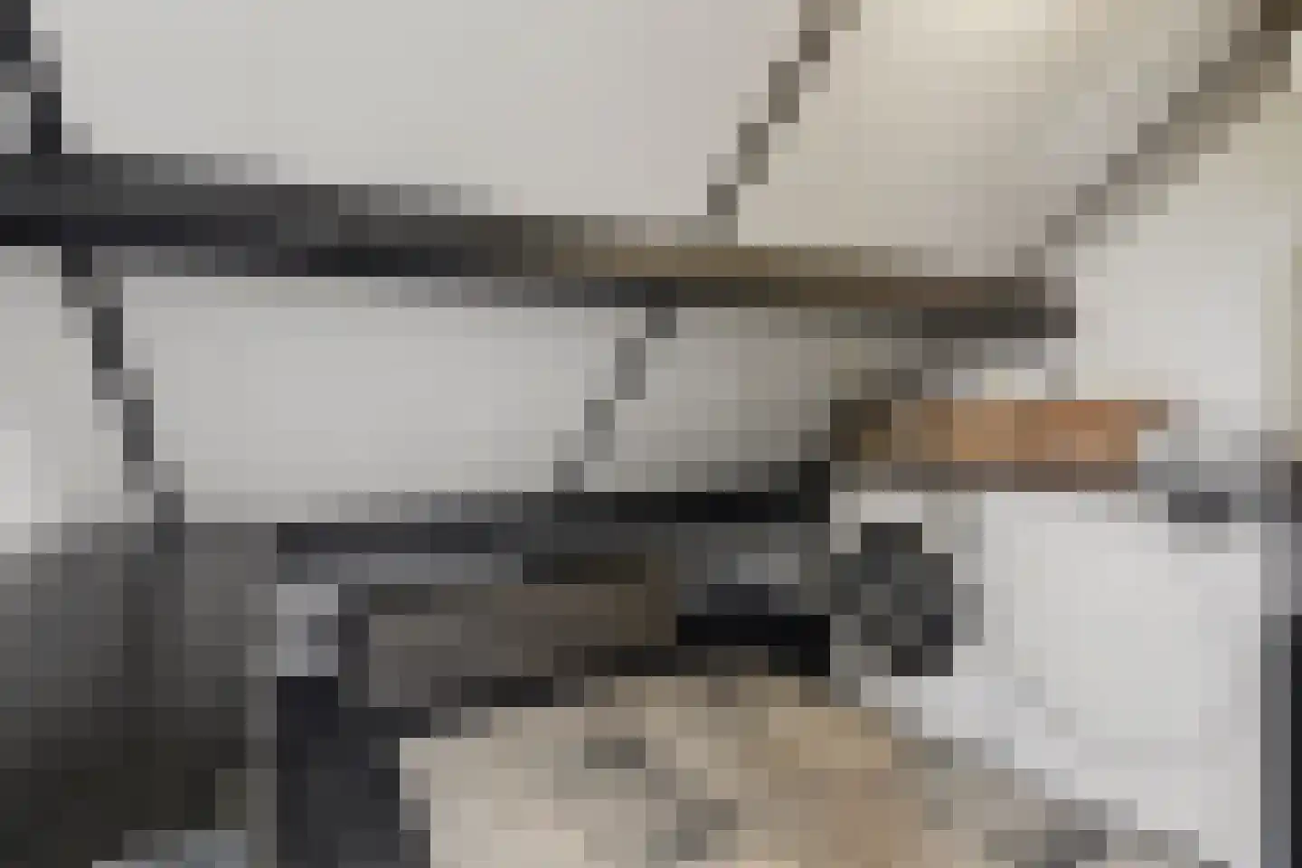 Den Bramel 20 Almelo thumbnail 28