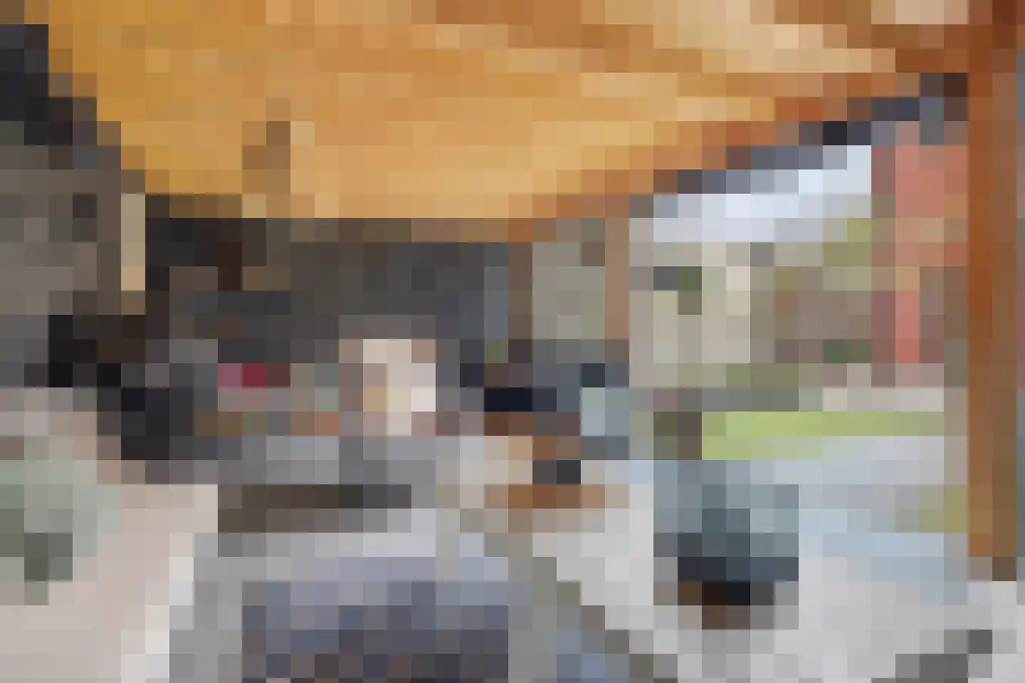 Den Bramel 20 Almelo thumbnail 34