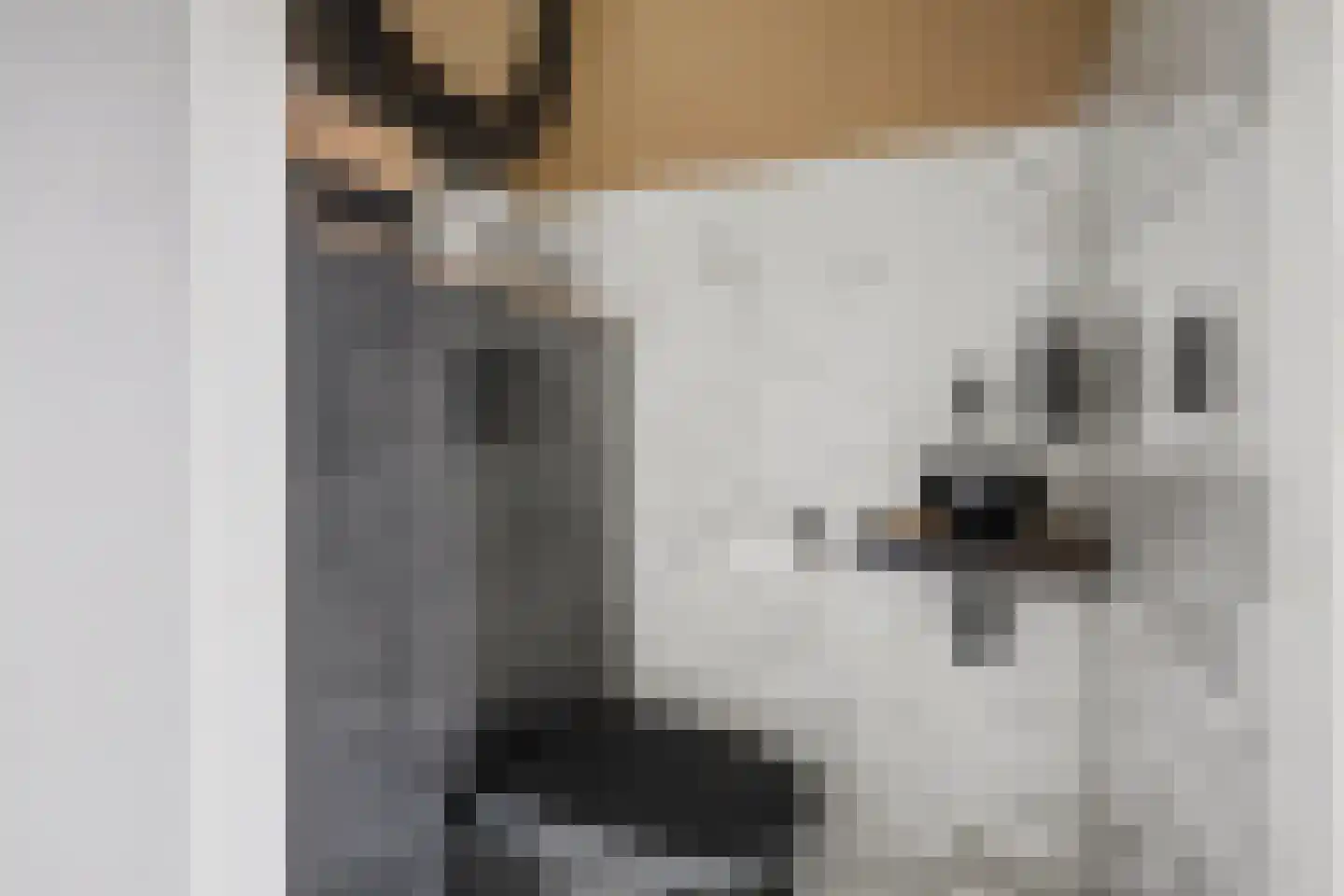 Den Bramel 20 Almelo thumbnail 6