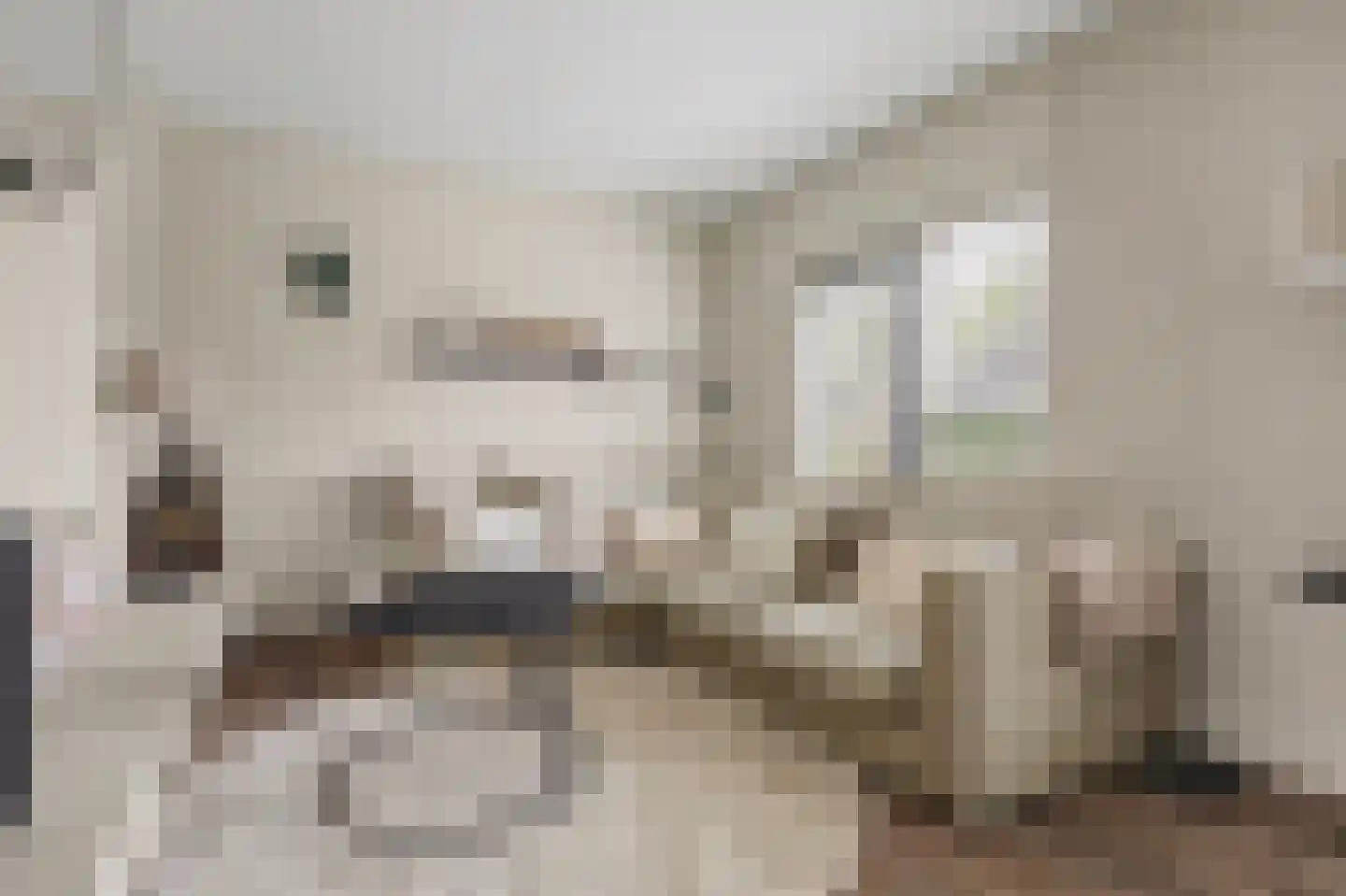 Den Bramel 20 Almelo thumbnail 7