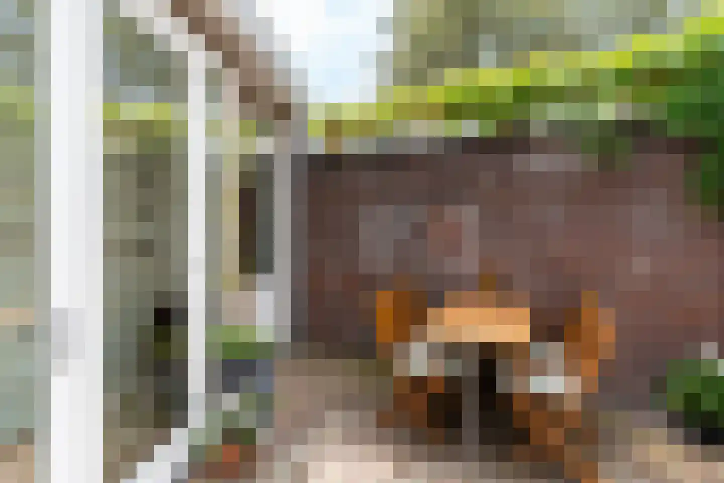 Den Brielstraat 1 Utrecht thumbnail 13