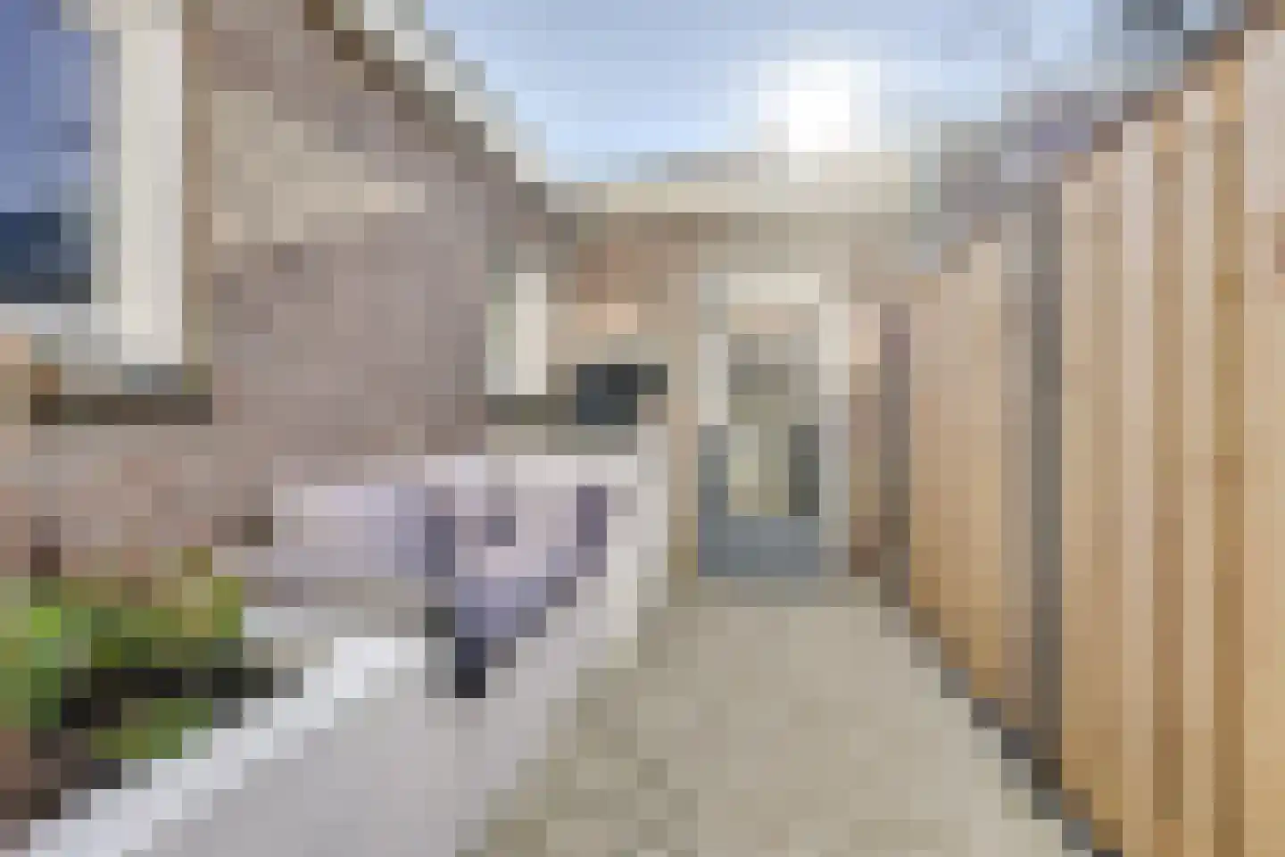 Den Brielstraat 12 Utrecht thumbnail 16
