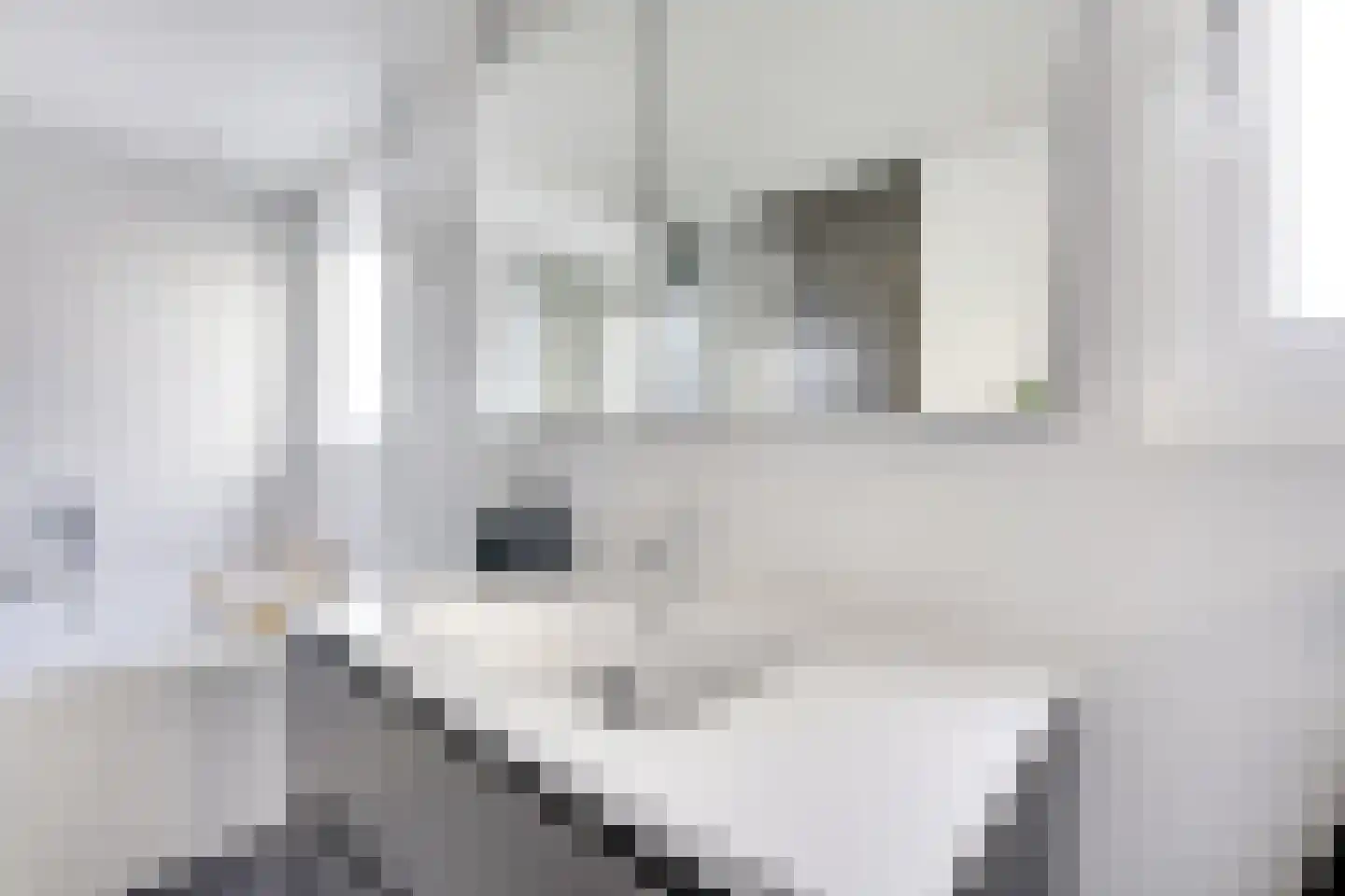 Den Brielstraat 12 Utrecht thumbnail 20