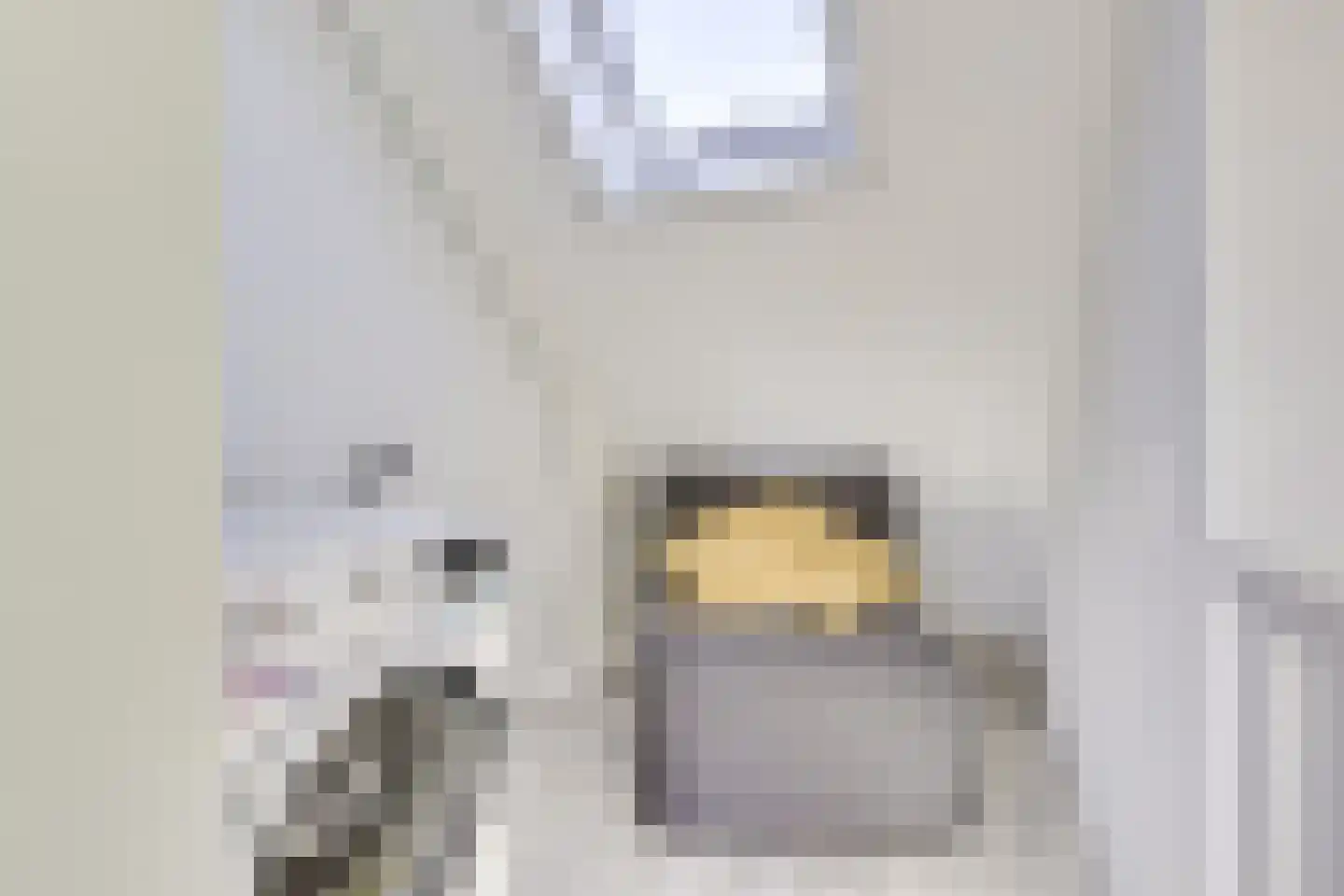 Den Brielstraat 12 Utrecht thumbnail 32