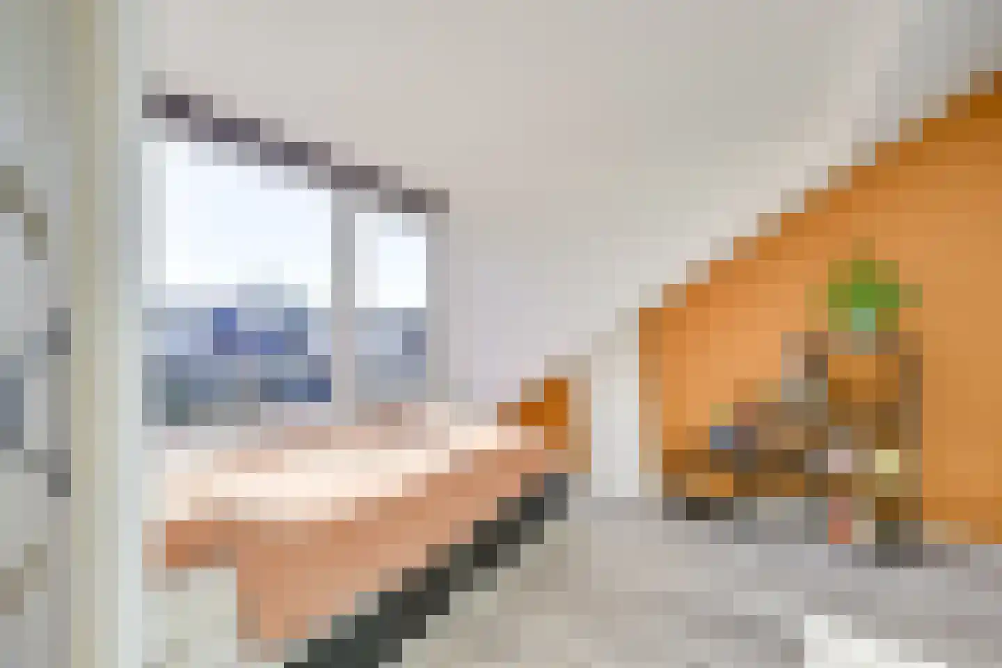 Den Brielstraat 12 Utrecht thumbnail 34