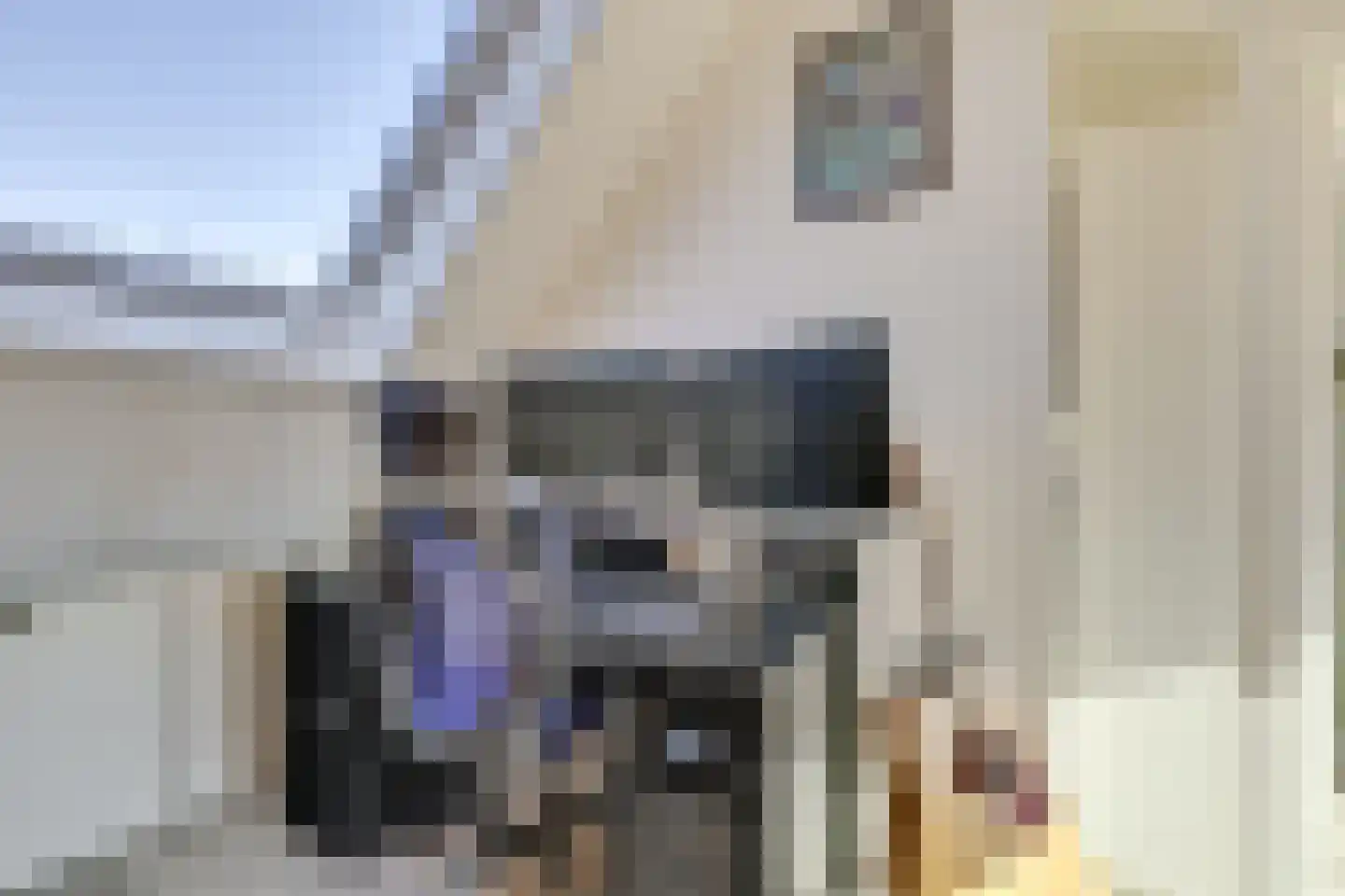 Den Brielstraat 12 Utrecht thumbnail 38