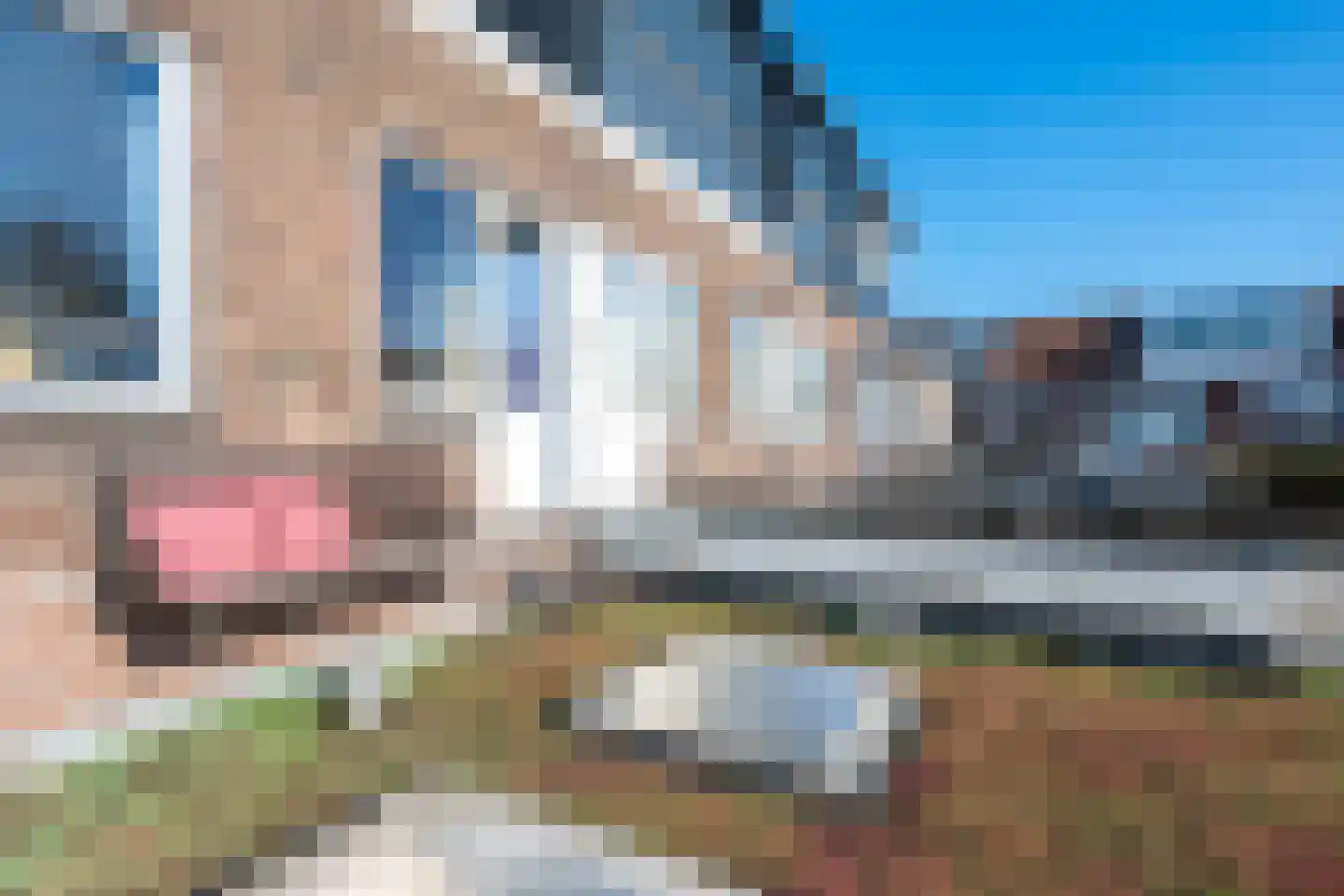 Den Brielstraat 12 Utrecht thumbnail 39