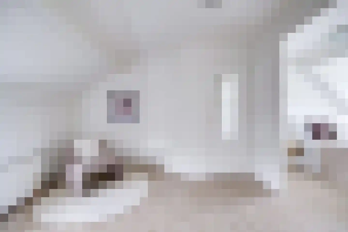 Den Brielstraat 7 Utrecht thumbnail 48