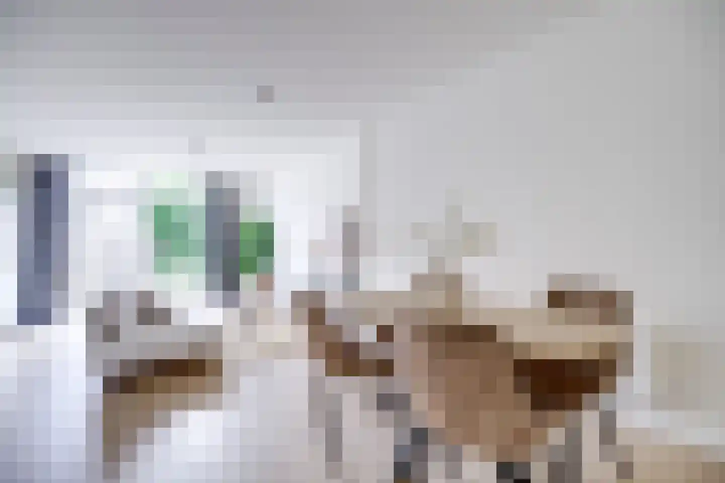 Den Brielstraat 7 Utrecht thumbnail 5