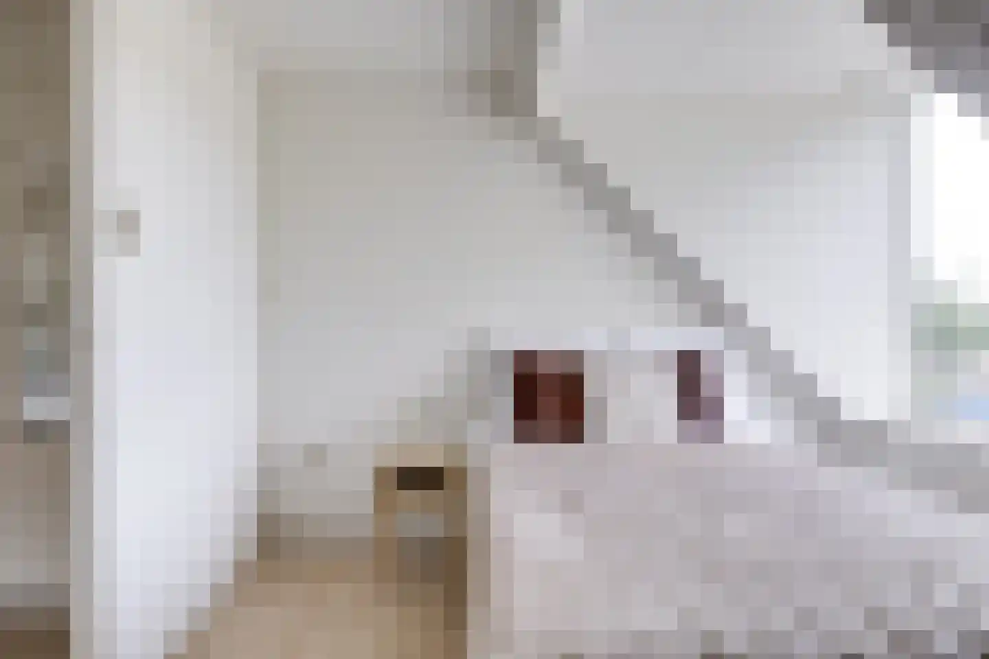 Den Brielstraat 7 Utrecht thumbnail 53
