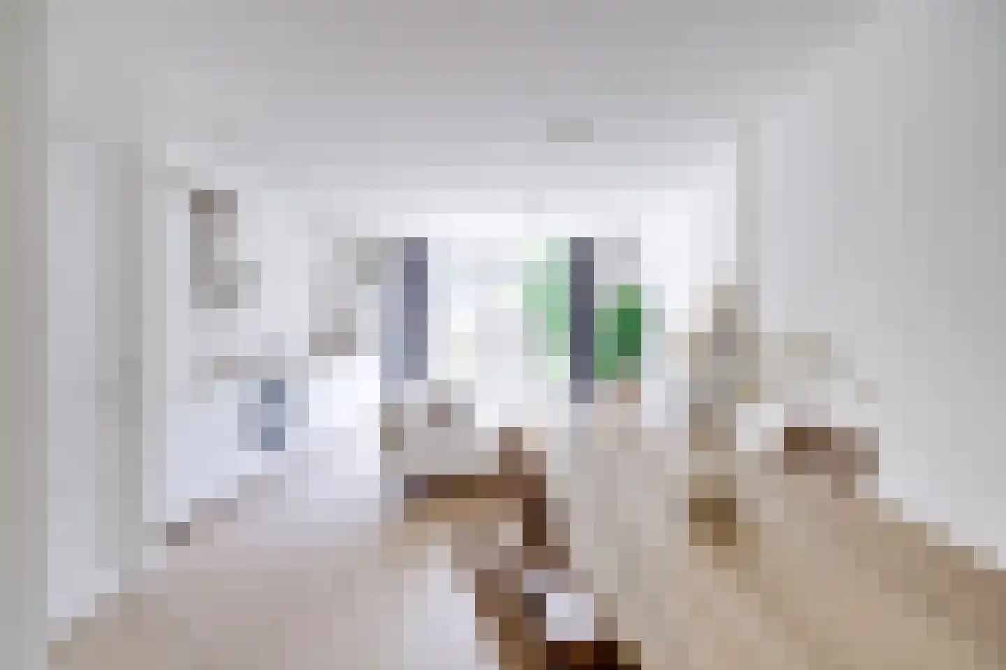 Den Brielstraat 7 Utrecht thumbnail 8