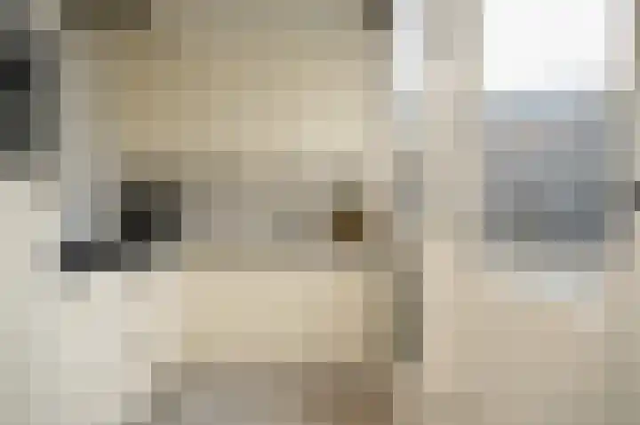Den Brielstraat 8 Utrecht thumbnail 16
