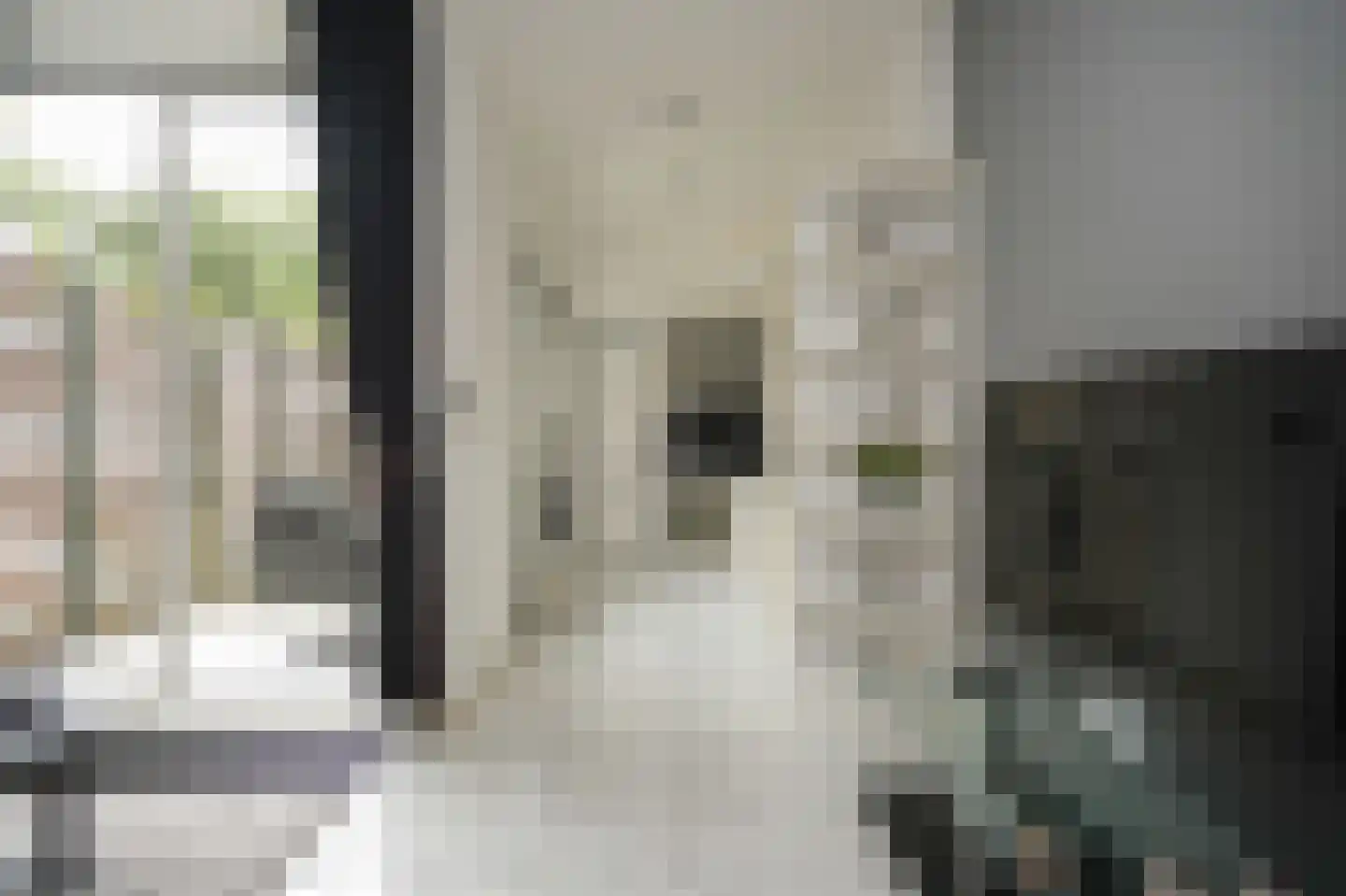 Den Brielstraat 9 Utrecht thumbnail 10