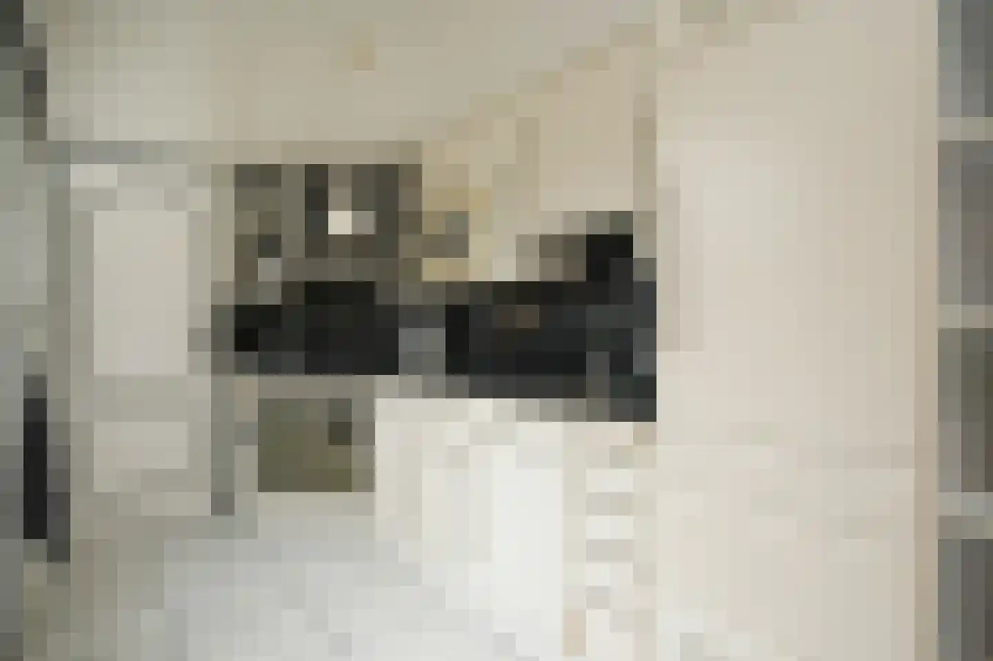 Den Brielstraat 9 Utrecht thumbnail 11