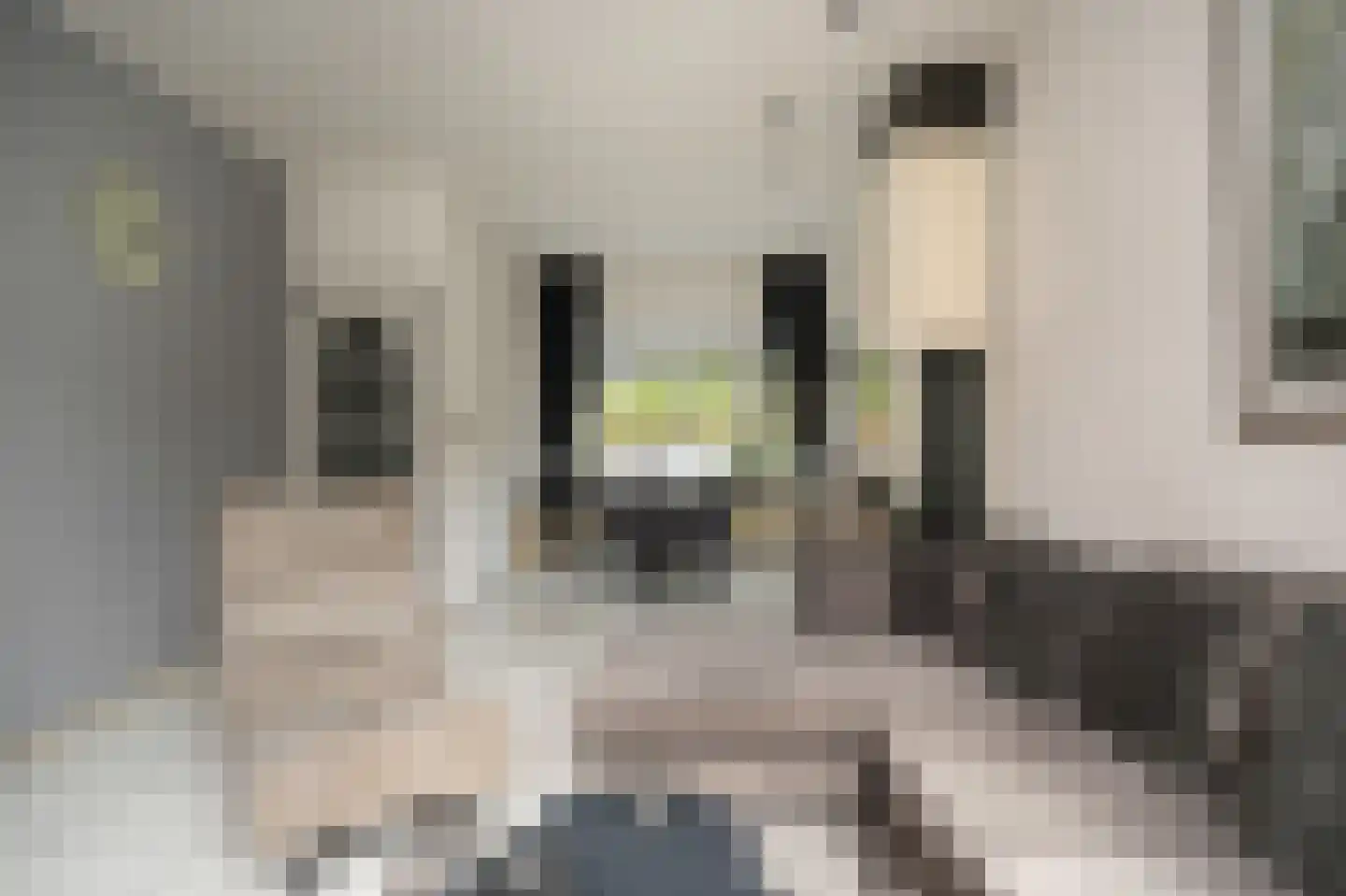 Den Brielstraat 9 Utrecht thumbnail 7