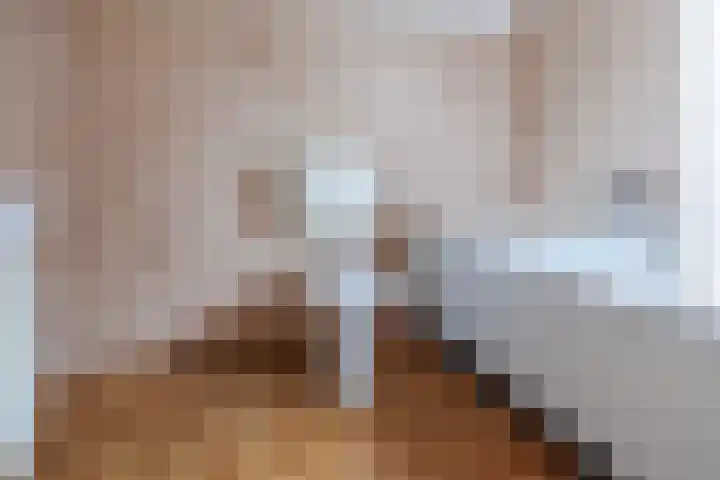 den Brier 111 Uden thumbnail 17