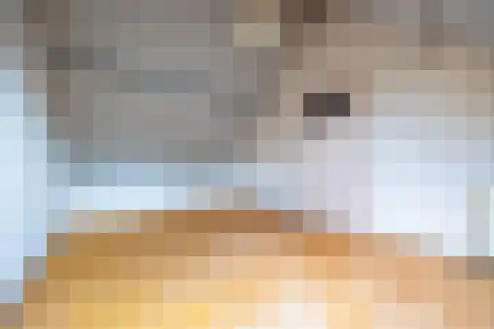 den Brier 111 Uden thumbnail 20