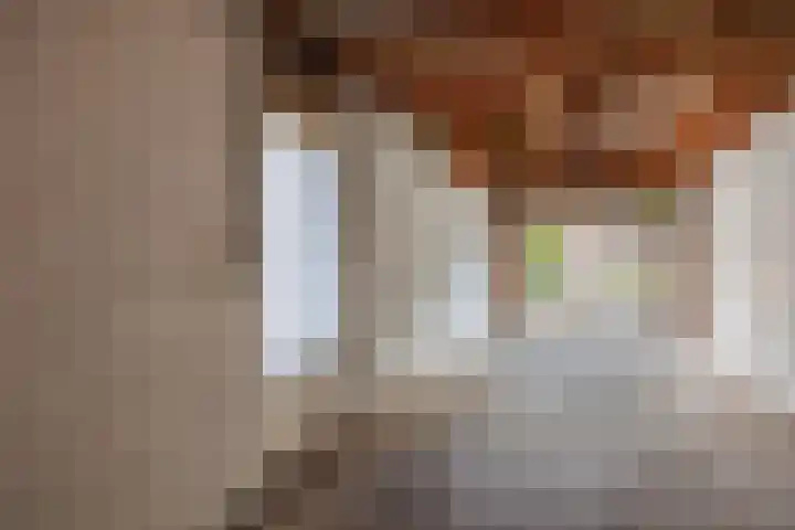 den Brier 111 Uden thumbnail 22
