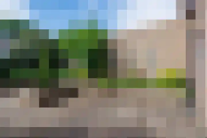 den Brier 111 Uden thumbnail 24