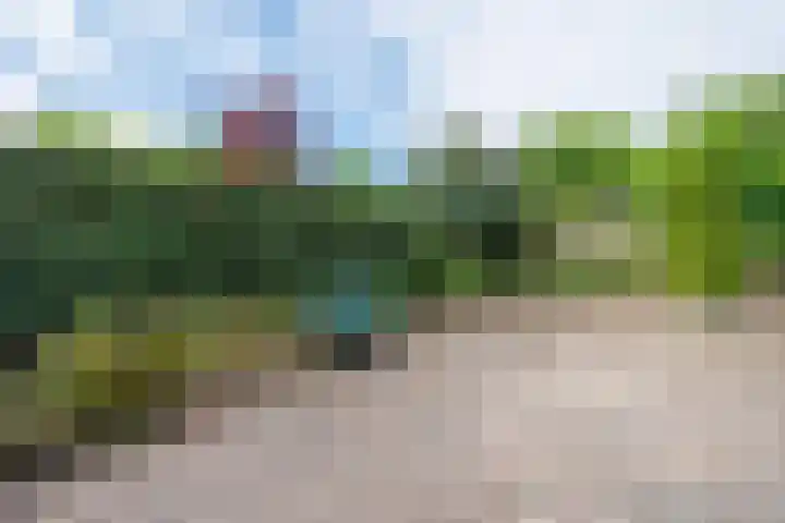 den Brier 111 Uden thumbnail 25