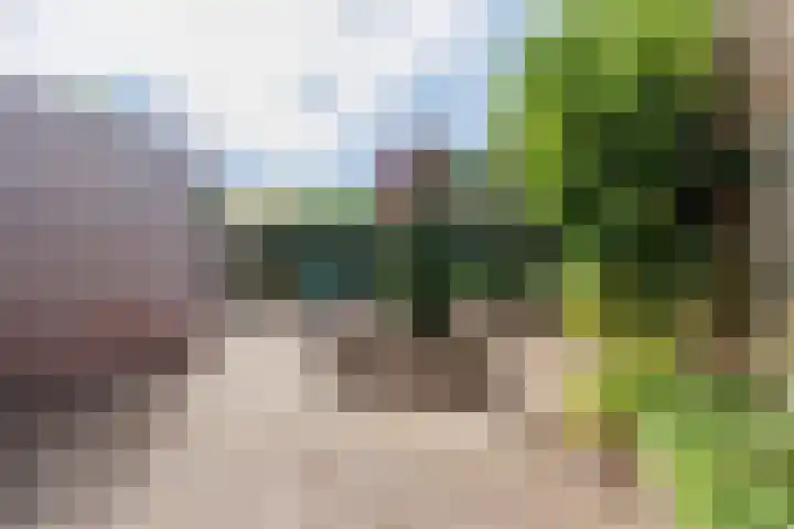 den Brier 111 Uden thumbnail 26