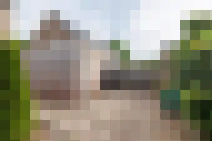 den Brier 111 Uden thumbnail 28
