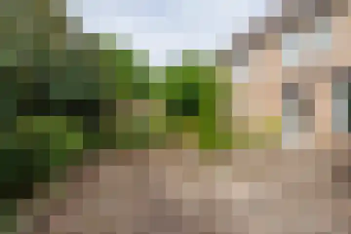 den Brier 111 Uden thumbnail 29